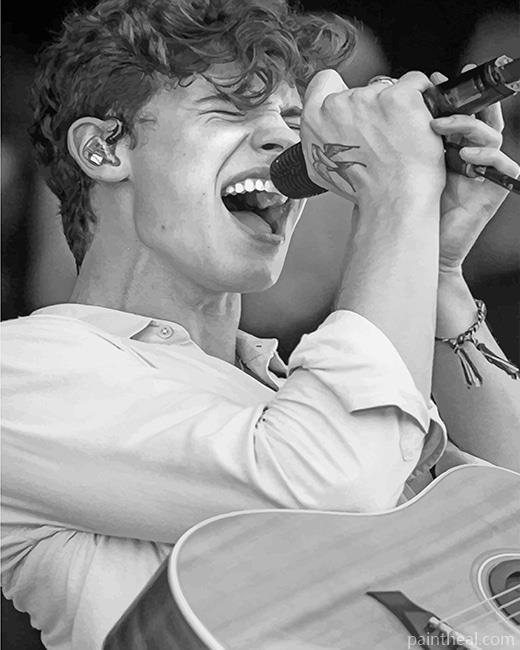 Shawn Mendes Singing Black And White Painting By Numbers Kits