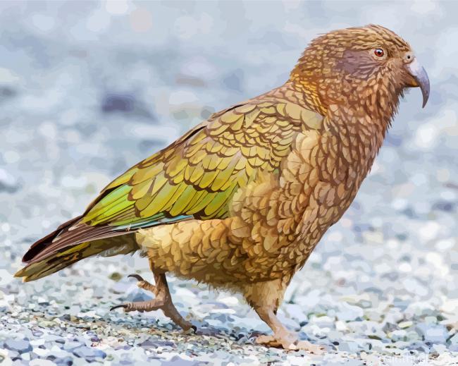 Aesthetic Kea Bird Painting By Numbers Kits