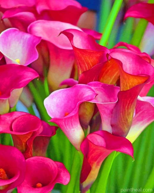 Calla Lilies Painting By Numbers Kits
