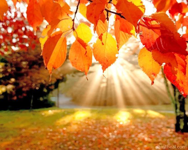 Fall Leaves Painting By Numbers Kits