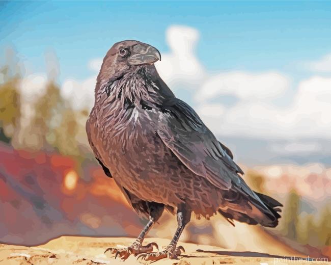 Raven Bird Animal Painting By Numbers Kits