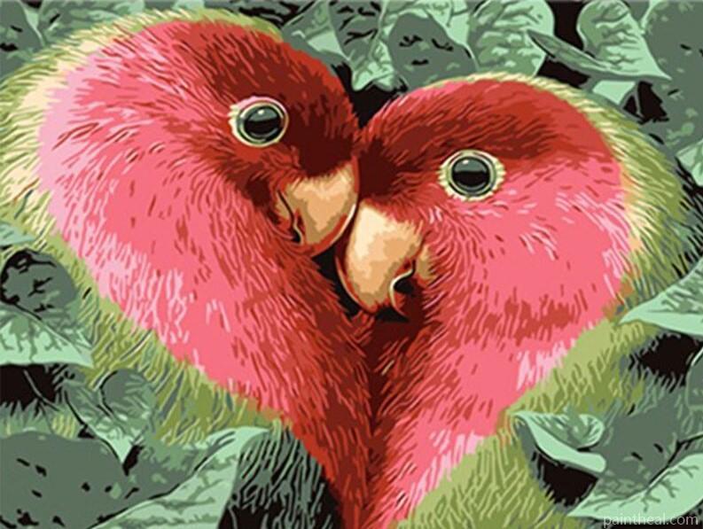 Parrot Couple Heart Painting By Numbers Kits