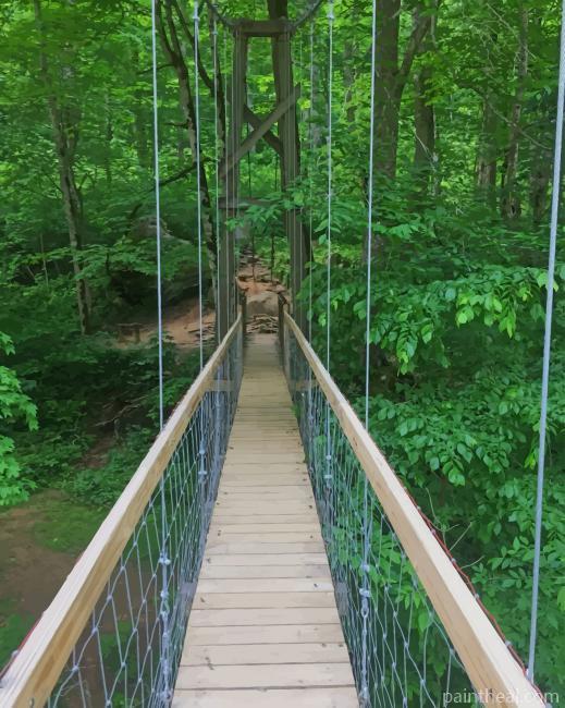 Forest Bridge Painting By Numbers Kits