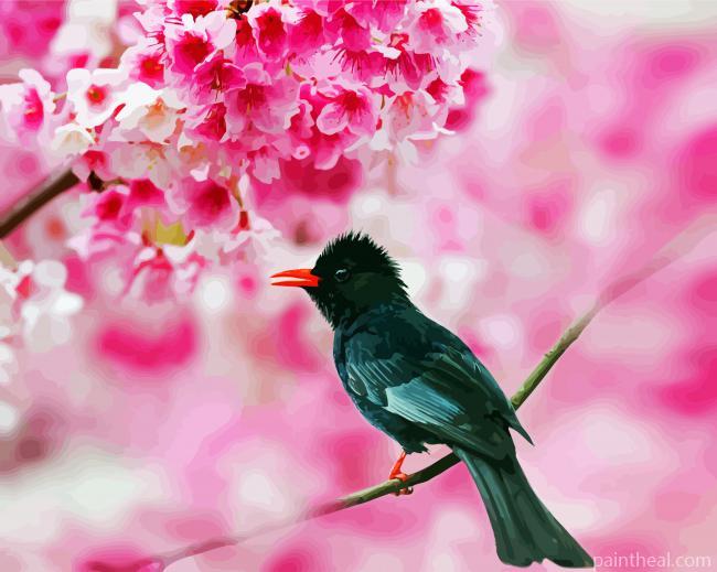 Black Bulbul On Cherry Blossom Painting By Numbers Kits