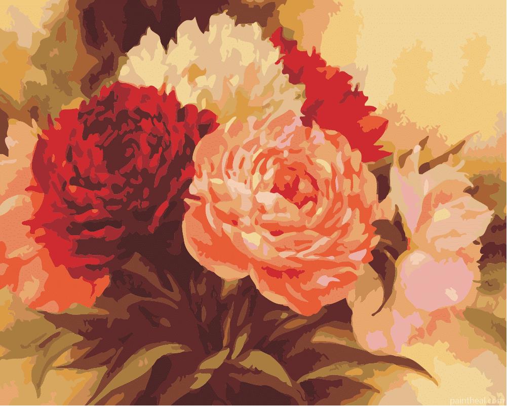 Pink And Red Peony Flowers Painting By Numbers Kits