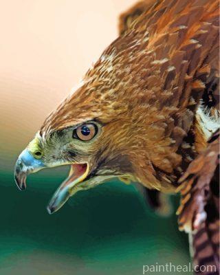 Hawk Eagle Bird Painting By Numbers Kits