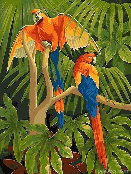 Macaw Parrots In Tree Painting By Numbers Kits