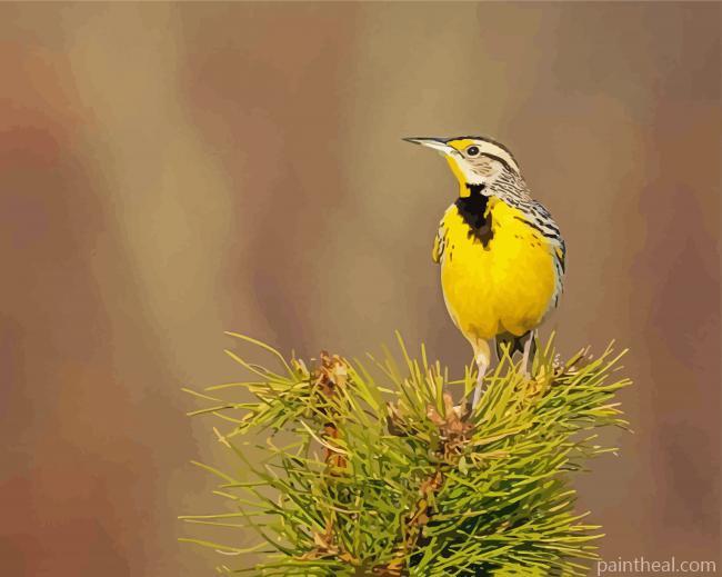 Western Meadowlark Bird Painting By Numbers Kits