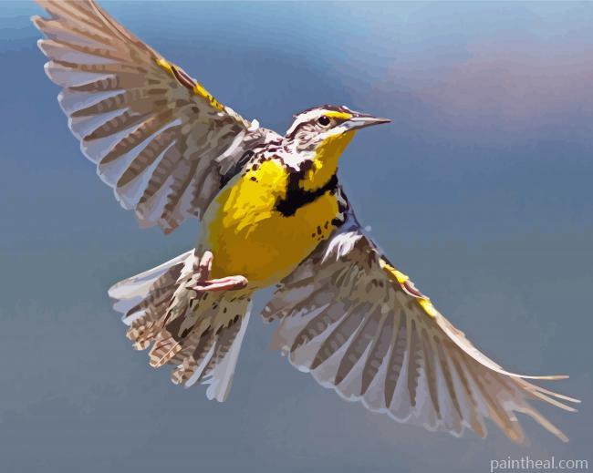 Flying Western Meadowlark Painting By Numbers Kits