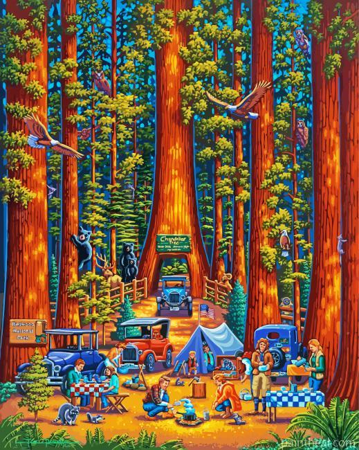 Redwood National Park Painting By Numbers Kits