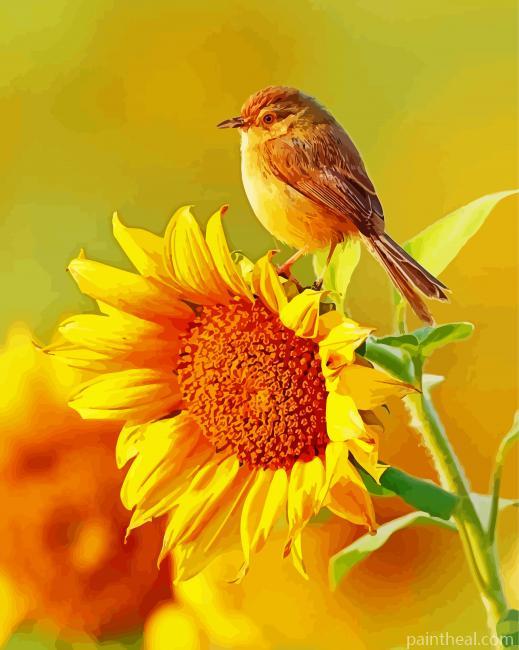Bird And Sunflower Painting By Numbers Kits
