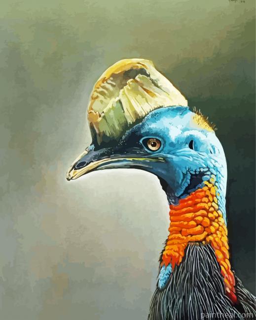 Cassowary Art Painting By Numbers Kits