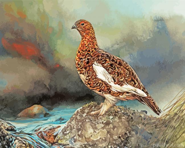 Ptarmigan Bird Painting By Numbers Kits