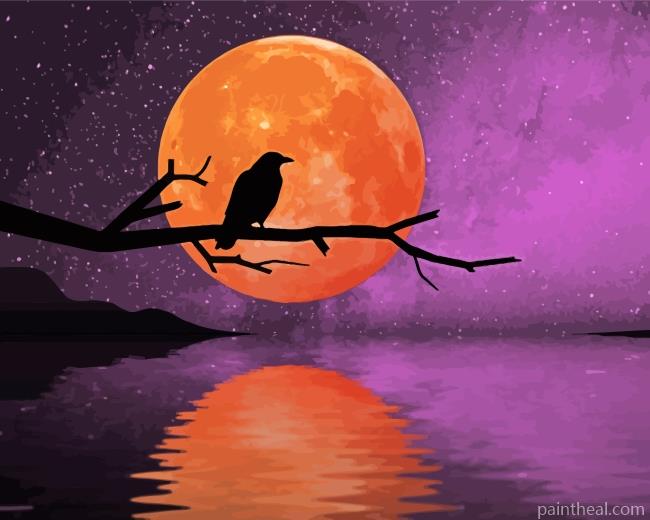 Raven Moonlight Painting By Numbers Kits