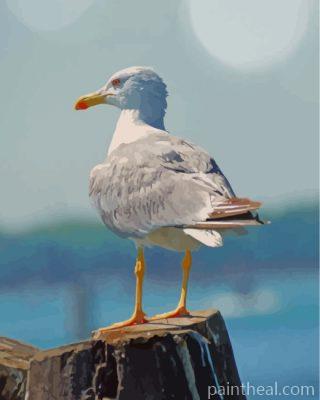 White Seagull Painting By Numbers Kits