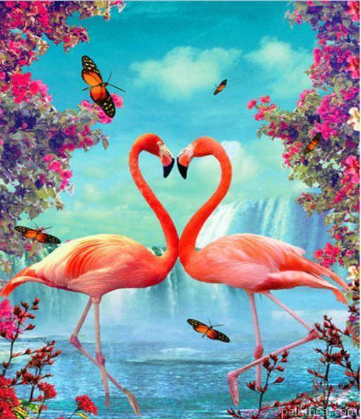 Flamingo Couple Love Painting By Numbers Kits