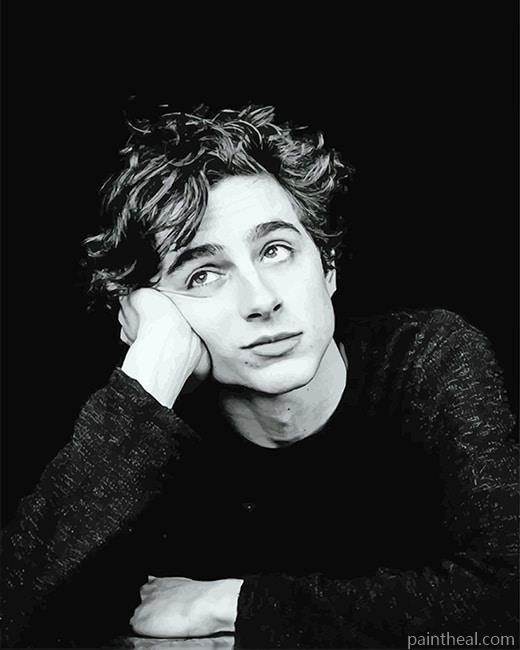 Timothée Black And White Portrait Painting By Numbers Kits