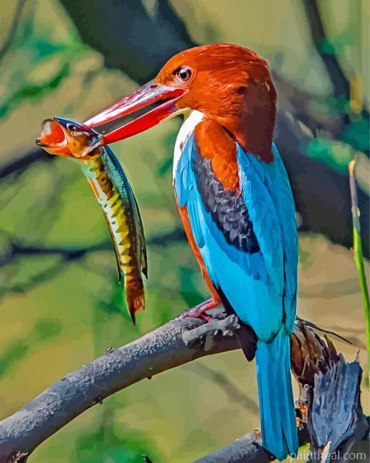 Thoated Kingfisher Bird Painting By Numbers Kits
