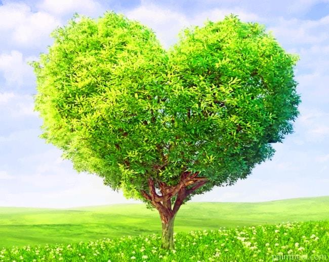 Love Heart Tree Painting By Numbers Kits