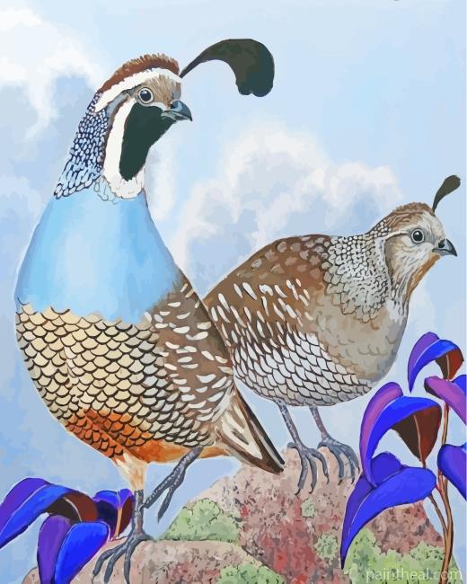 Quails Birds Art Painting By Numbers Kits