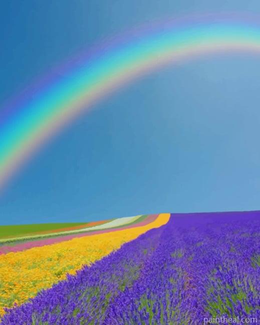 Rainbow In Lavender Field NEW Painting By Numbers Kits