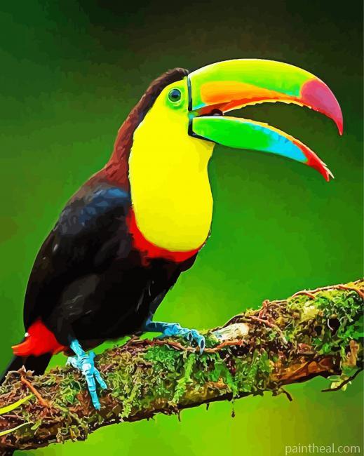 Colorful Tucan Bird Painting By Numbers Kits