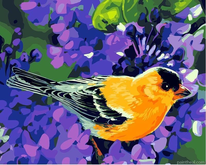 Bird Modern Wall Art Canvas Painting By Numbers Kits