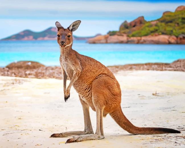 Australian Kangaroo Painting By Numbers Kits