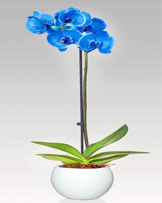Blue Orchidea Flower Painting By Numbers Kits