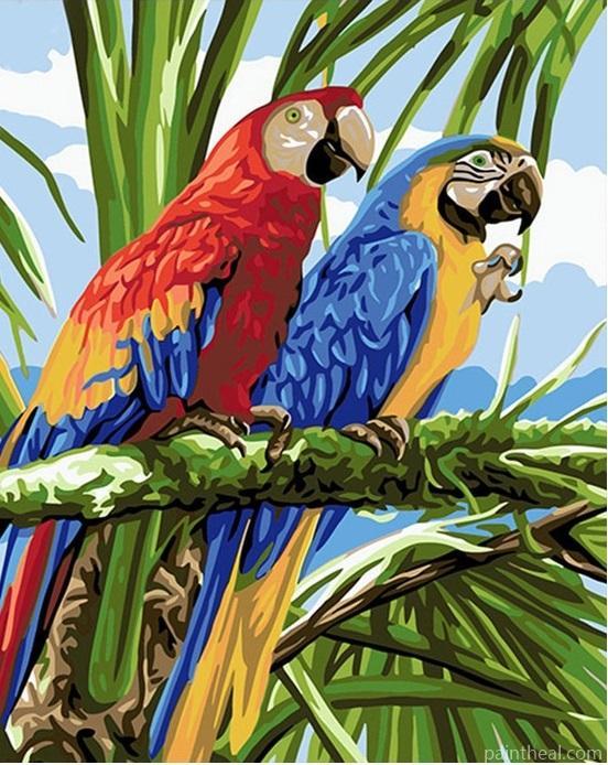 Two Colorful Parrots Painting By Numbers Kits