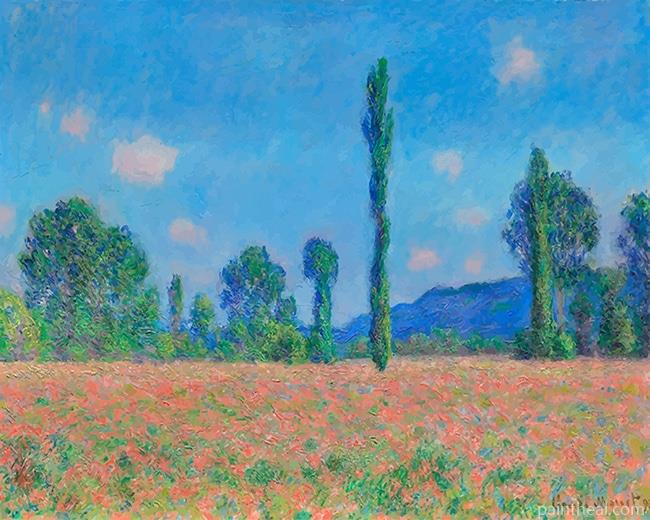 Claude Monet Poppy Field Painting By Numbers Kits