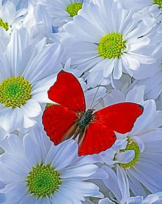 Red Butterfly On White Flowers Painting By Numbers Kits