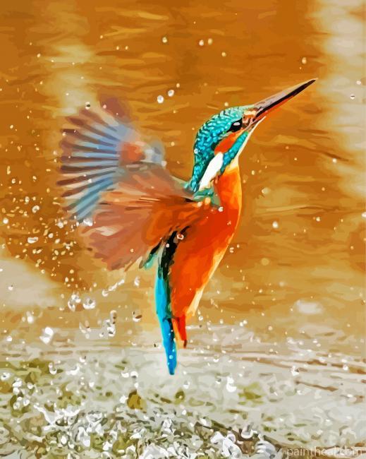 Kingfisher Flying Above The Water Painting By Numbers Kits