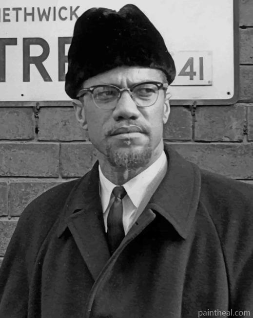 Malcom X In Black Suit Painting By Numbers Kits