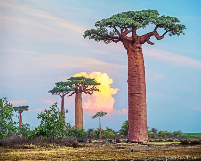 Baobab Trees Painting By Numbers Kits