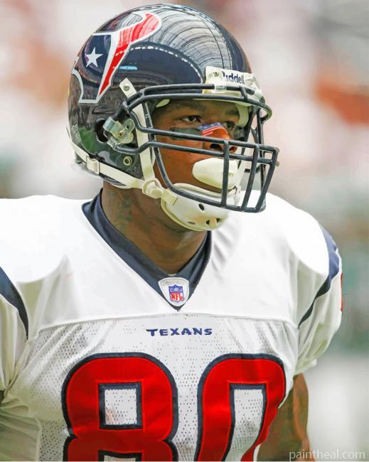 Texans Player Painting By Numbers Kits