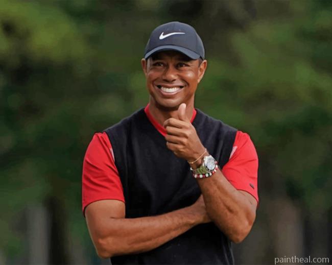Golfer Tiger Woods Painting By Numbers Kits