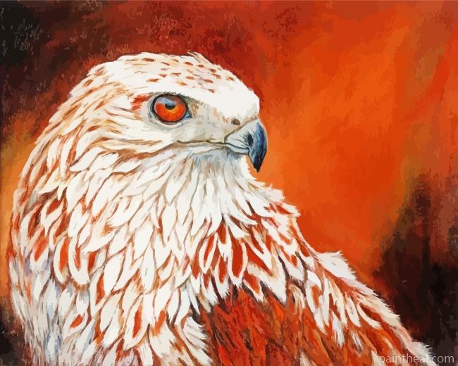 Red Tailed Hawk Bird Painting By Numbers Kits