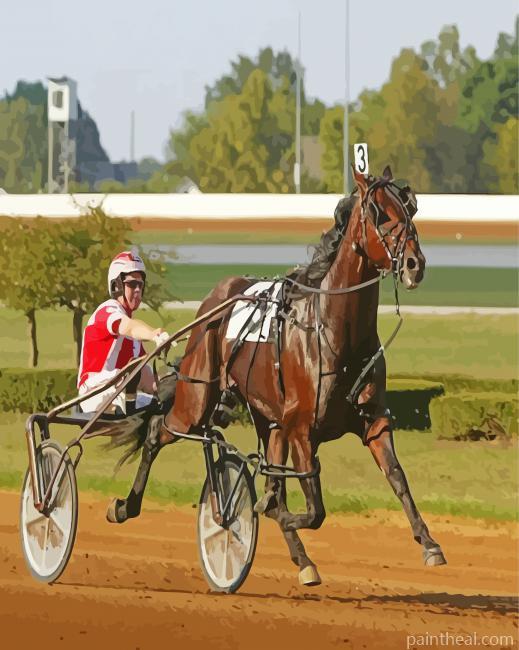 Harness Horse Race Painting By Numbers Kits