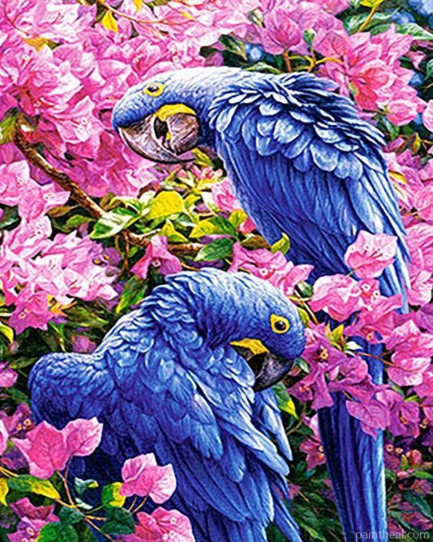 Blue Parrots In Flowers Painting By Numbers Kits