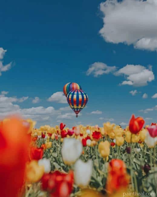 Hot Air Balloon In Nature Painting By Numbers Kits