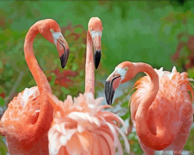 Orange Flamingos Painting By Numbers Kits