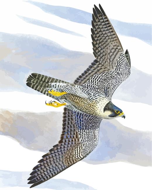 Peregrine Falcon Bird Art Painting By Numbers Kits