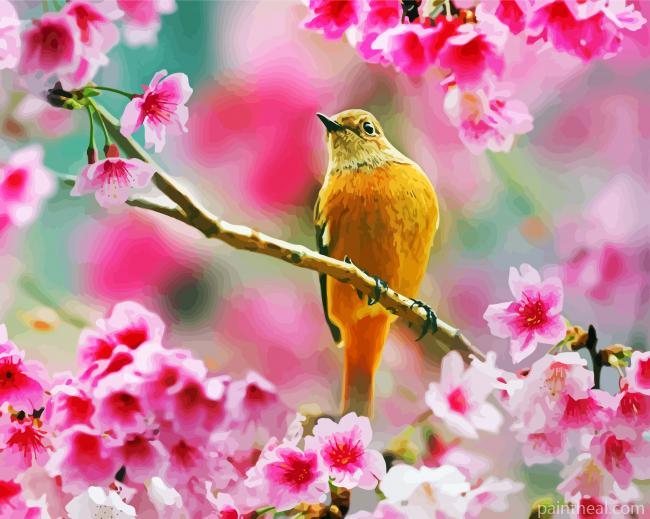 Bird On Cherry Blossom Painting By Numbers Kits