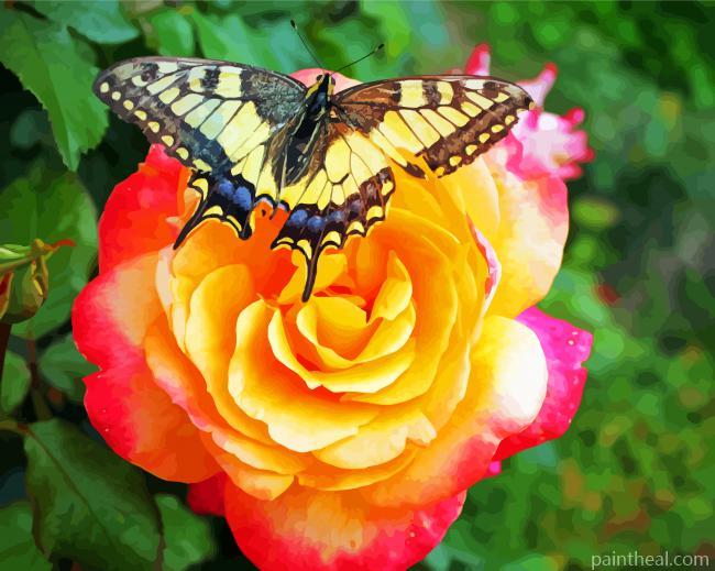 Butterfly On Rose Painting By Numbers Kits