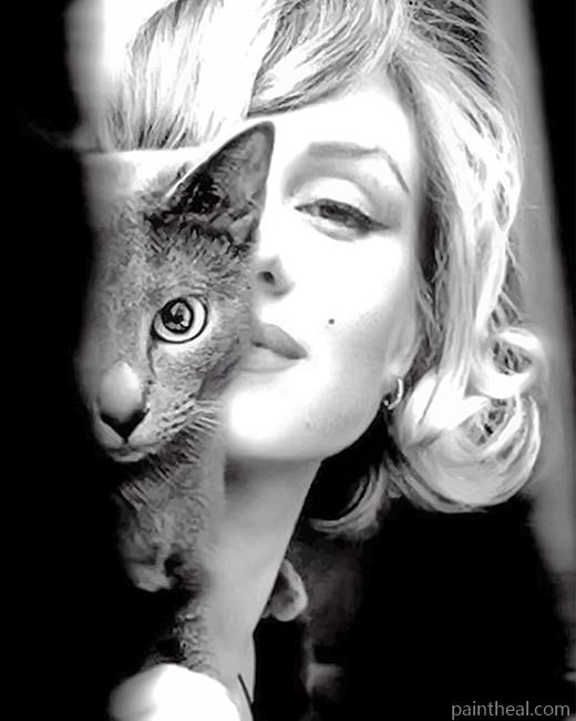 Marilyn Monroe With Her Cat Painting By Numbers Kits