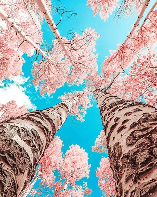 Pink Cherry Blossom NEW Painting By Numbers Kits
