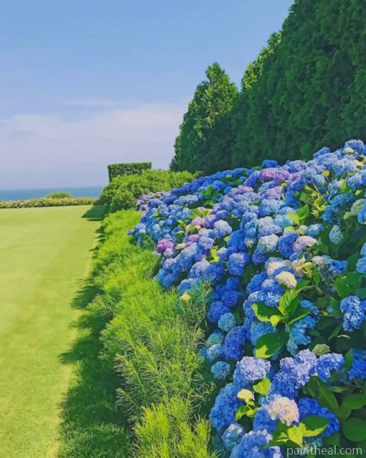French Hydrangea In Garden Painting By Numbers Kits
