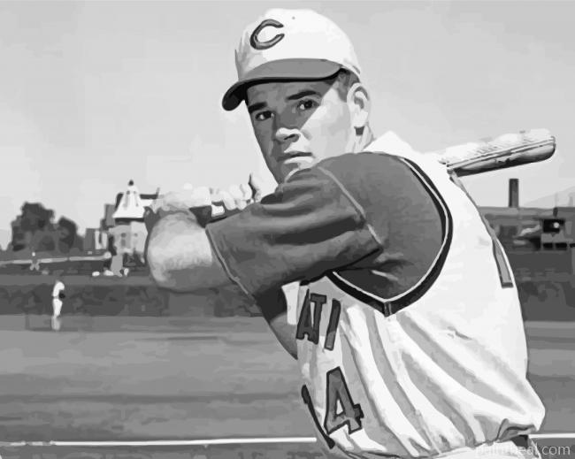 Black And White Pete Rose Painting By Numbers Kits
