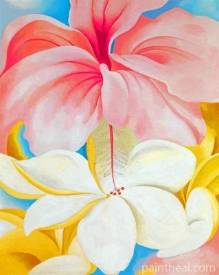 O Keeffe Hibiscus Painting By Numbers Kits